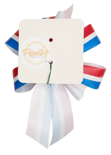 Load image into Gallery viewer, Patriotic Red, White & Blue Striped Bow, 8-Loops, Hand Tied