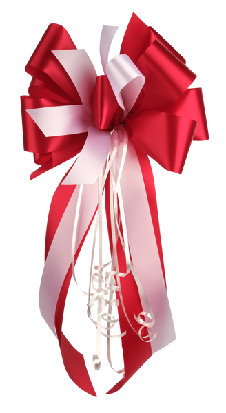 Pink and Red Ribbon - My Christmas